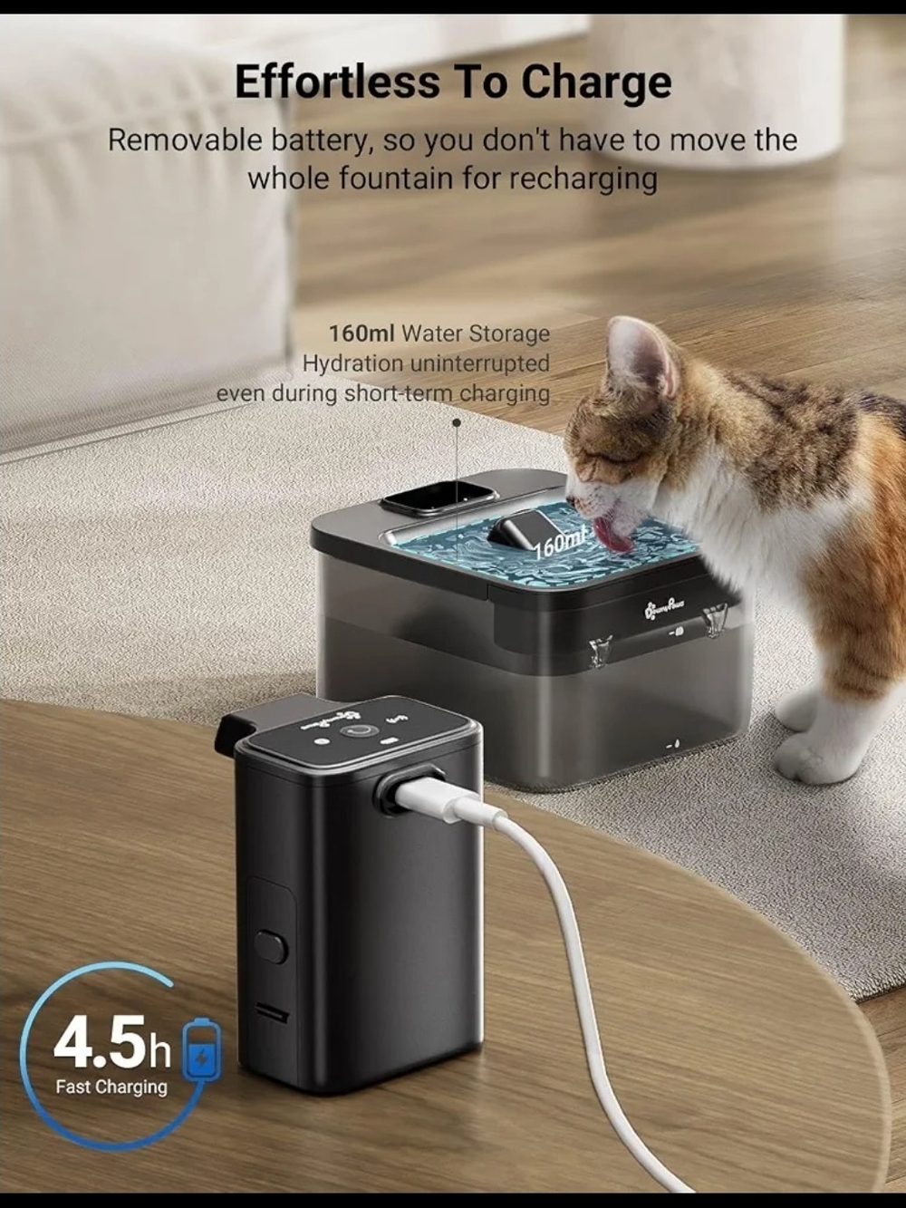 DownyPaws Black Pet Water Fountain